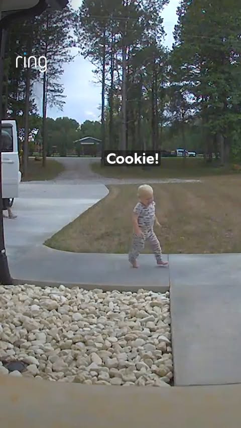 Instagram post by @goodnews_movement for Ring. Caption reads: Stopping at no cost for that cookie... consider....