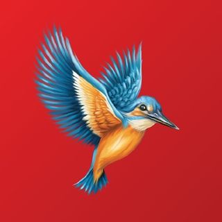 Kingfisher