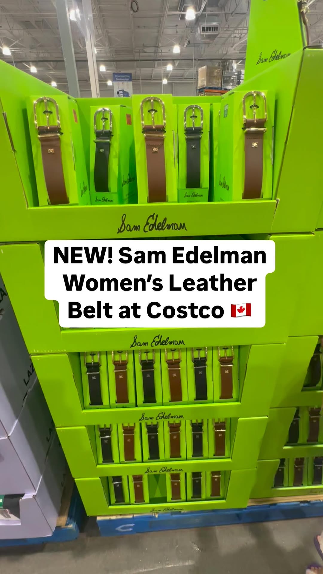 Instagram post by @costcofindsca for Sam Edelman. Caption reads: NEW! Sam Edelman Women’s Leather Belt at Costco....