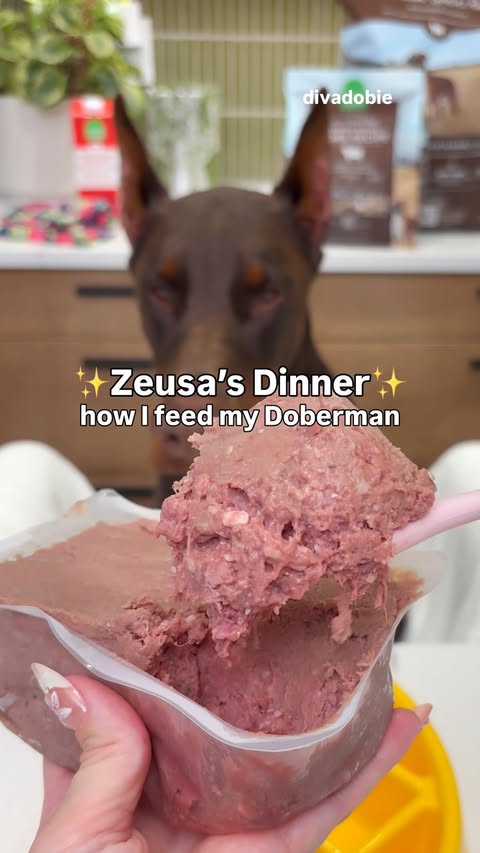 Instagram post by @thedivadobie for Open Farm Pet. Caption reads: [...] from @wefeedraw 🐑 Lamb recipe from....