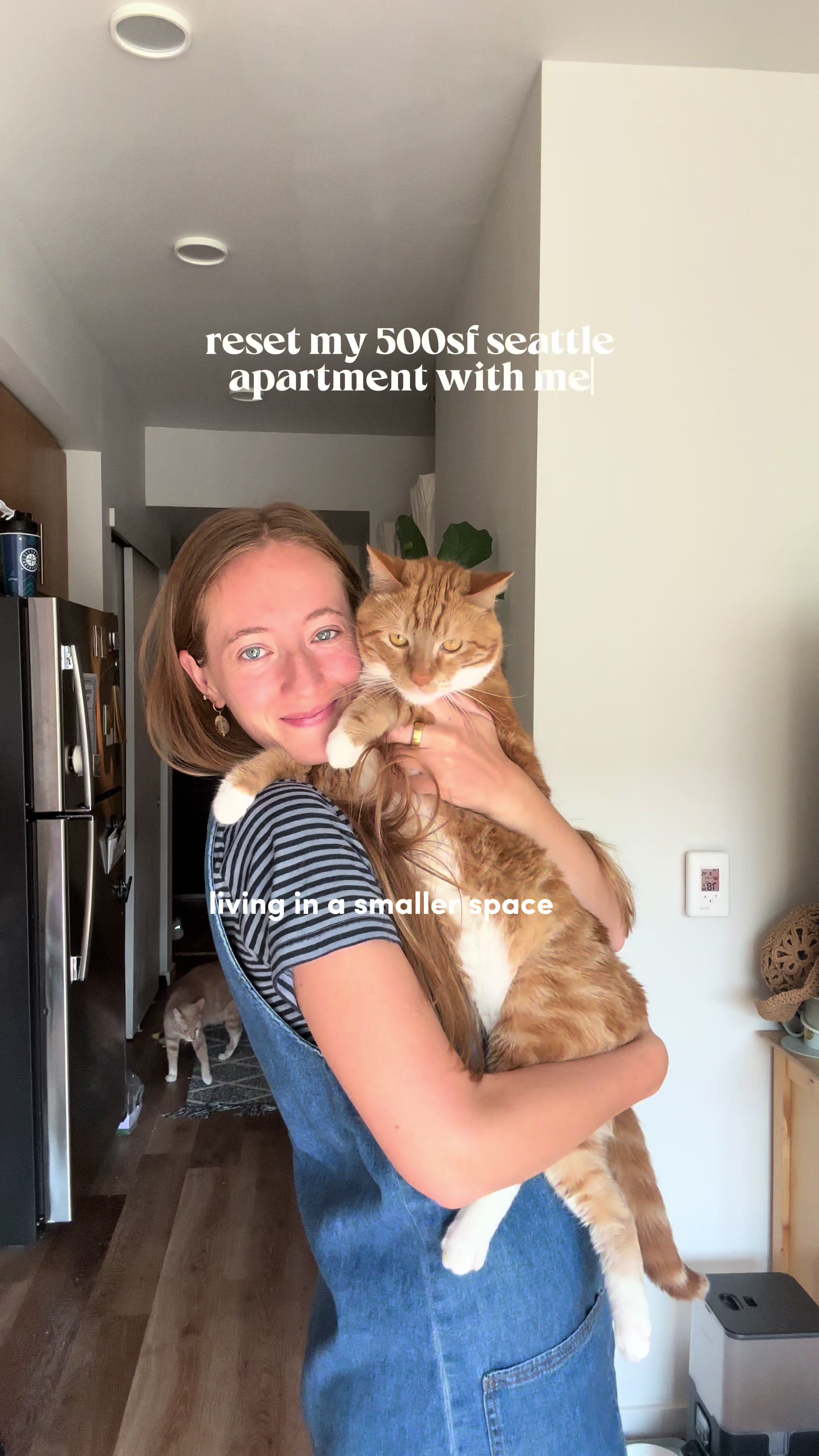 TikTok post by @servedbysara for PrettyLitter. Caption reads: [...] seattle apartment with me featuring....