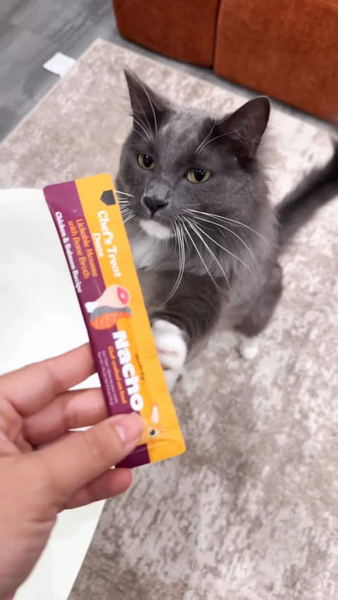 Instagram post by @kerraezgi for Made by Nacho. Caption reads: [...] month we tried a mix of goodies from Made by....