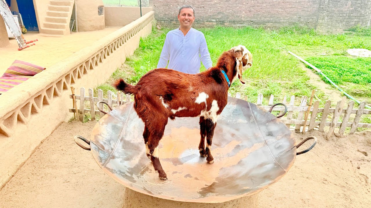 YouTube post by @VillageFoodSecrets for Taptap Send. Caption reads: Biggest Mutton Karahi | Full Bakra Karahi Cooking....