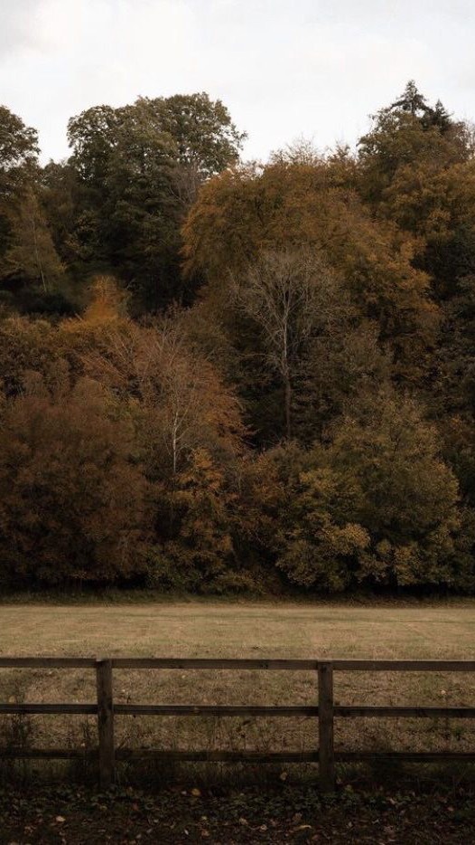 Instagram post by @hannahrosieadkins for Milky Plant. Caption reads: A slow morning at home. Ad. The Watery by....