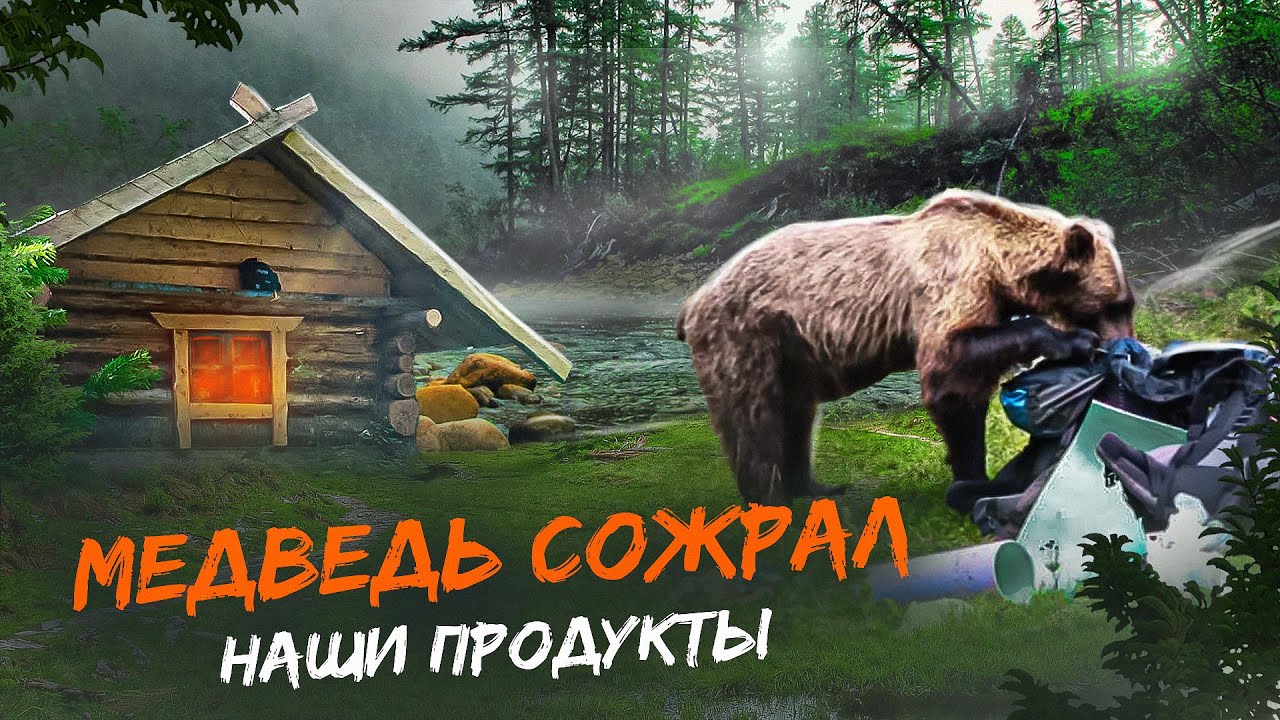 YouTube post by @abvgat for Pro Business. Caption reads: A BEAR ATE OUR FOOD. WE'RE SURVIVING ON FISH.....