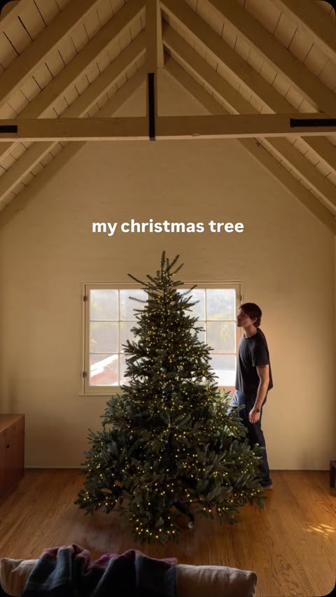 Instagram post by @ethangaskill for Balsam Hill. Caption reads: proof that faux trees can be beautiful 🎄

tree....