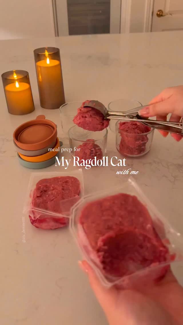 Instagram post by @its_bennetttt for Darwin's Natural Pet Products. Caption reads: #ad I don’t even meal prep for myself 😂 if you’re....
