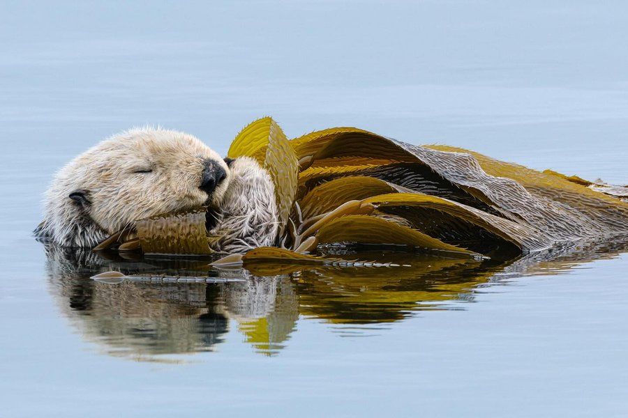 Instagram post by @gretchenkaystuart for Fujifilm. Caption reads: [...] Grant Program 2024 sponsored by FUJIFILM.....