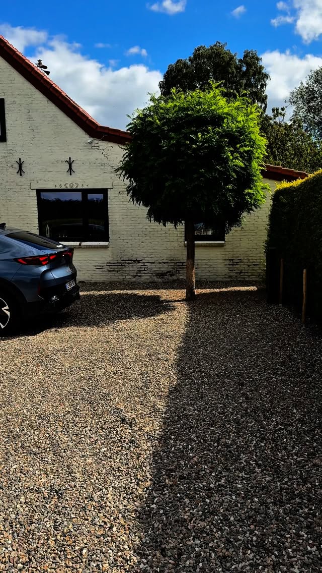 Instagram post by @lottevanwezemael for CUPRA Italia. Caption reads: publiciteit | nooit meer zoeken naar een laadpaal....