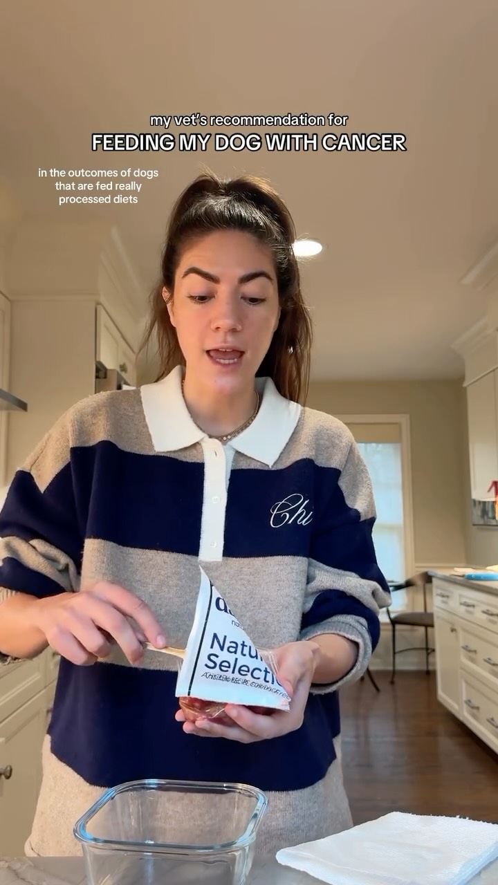 Instagram post by @myboyrudder for Darwin's Natural Pet Products. Caption reads: rudder’s fight against cancer will be primarily....