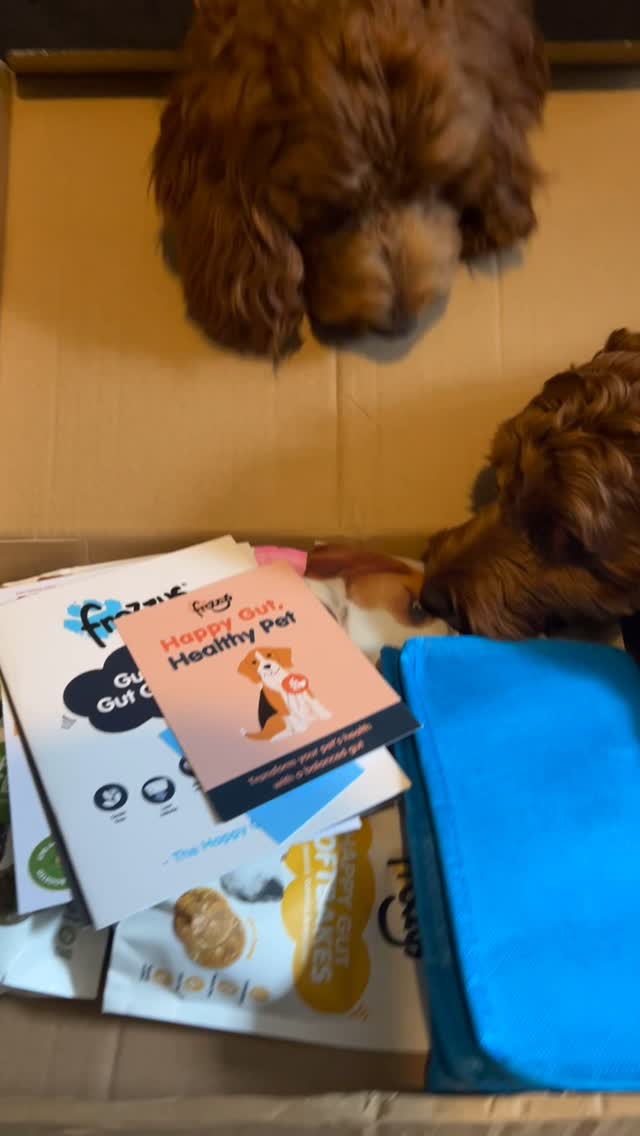 Instagram post by @jax_mylo_pups for Frozzys. Caption reads: Woohoo, huge thanks to @frozzys_ for our....