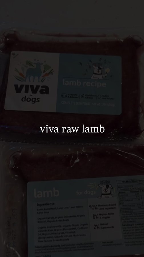 Instagram post by @kotaspen for Viva Raw. Caption reads: [...] Have your dogs tried lamb? More about....
