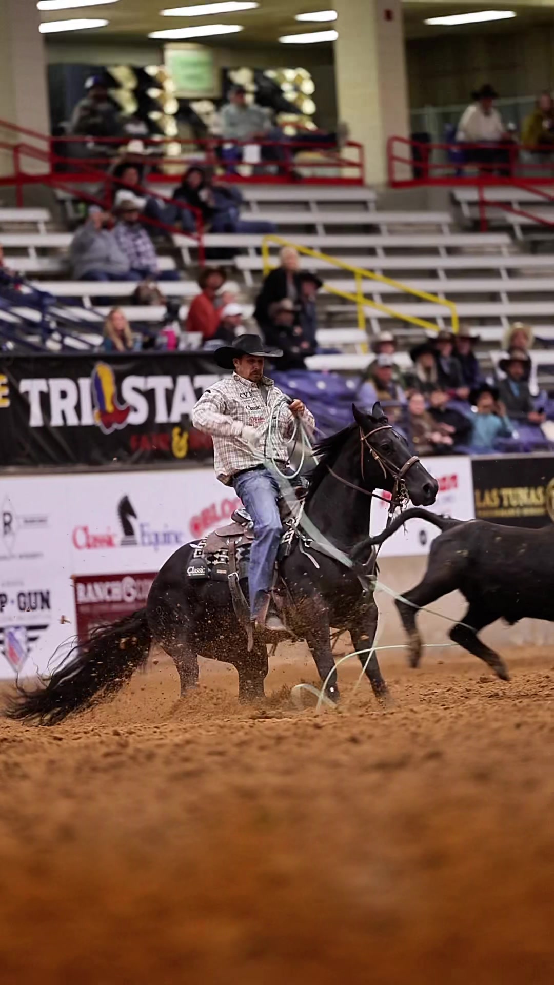 TikTok post by @teamropingjournal for Resistol. Caption reads: DT Hickorys Angus and @jeremybuhler got it started....