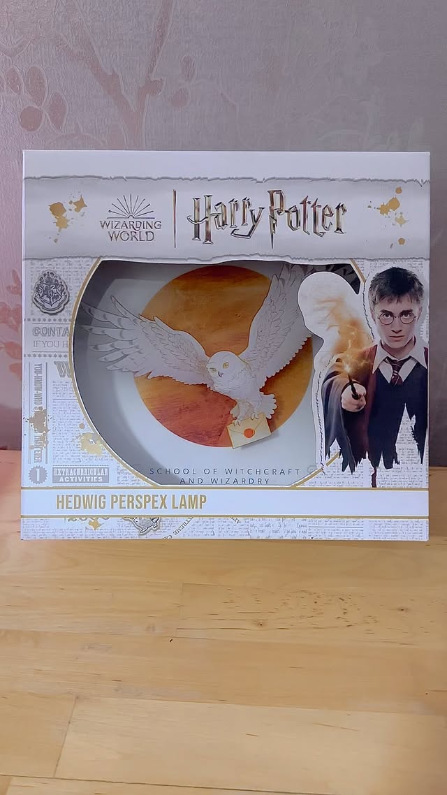 Instagram post by @queenniffler for Numskull Designs. Caption reads: Hedwig Perspex Lamp. This lamp looks lovely with....