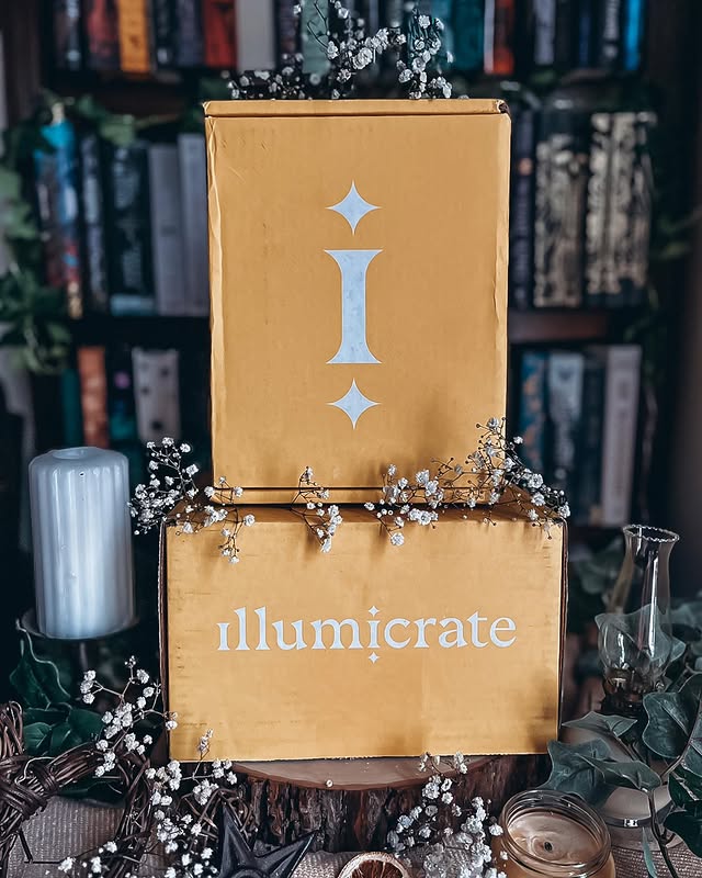 Instagram post by @gcreads04 for Illumicrate. Caption reads: [...] of Onyx Storm and I got the January....