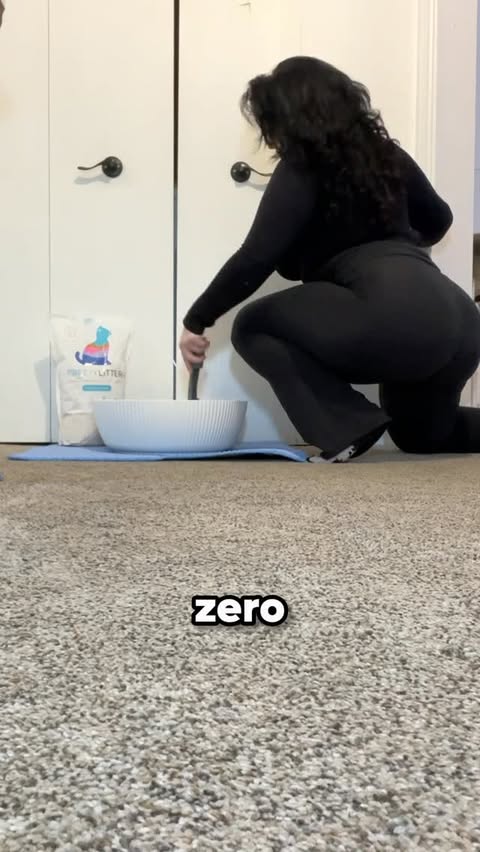 Instagram post by @smittenmittenkittens for PrettyLitter. Caption reads: [...] cats, happy cats and a clean home.....