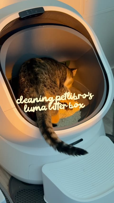 Instagram post by @mishmish.honey for PETLIBRO. Caption reads: [...] | one of my favorite things about the....