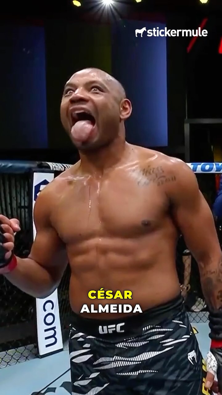 Instagram post by @cesinha_almeida for Sticker Mule. Caption reads: [...] 🇧🇷 This video is brought to you by....