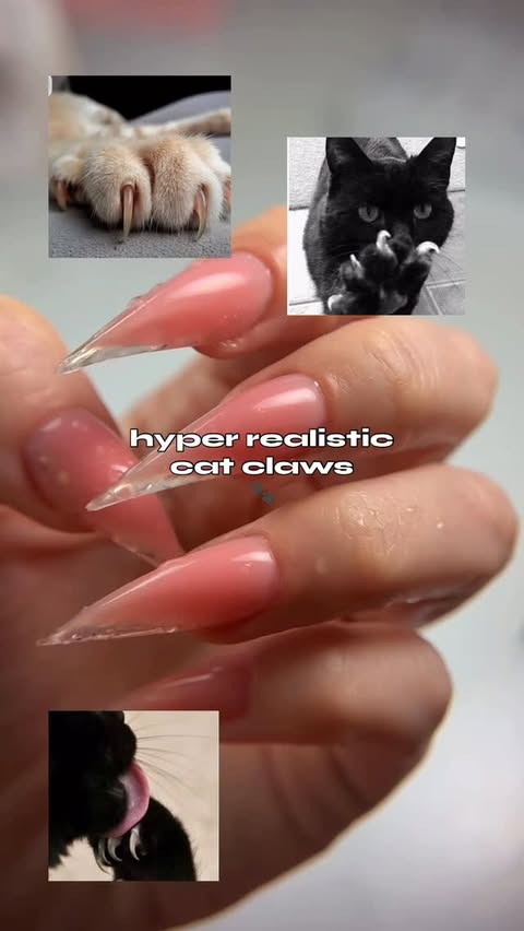 Instagram post by @miralina_nails for VBeautyPure. Caption reads: using @vbeautypure acrygel right now 35% off with....