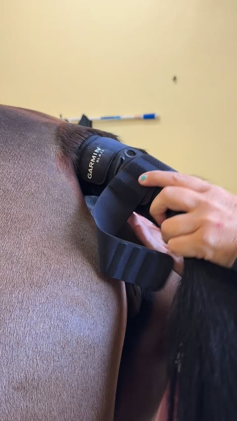 Instagram post by @georginabloomberg for Garmin. Caption reads: [...] make them happen. I’m so proud to have....