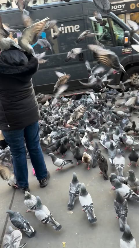 Instagram post by @yerr.nyc for Vita Coco. Caption reads: [...] at Washington Square Park giving out Vita....