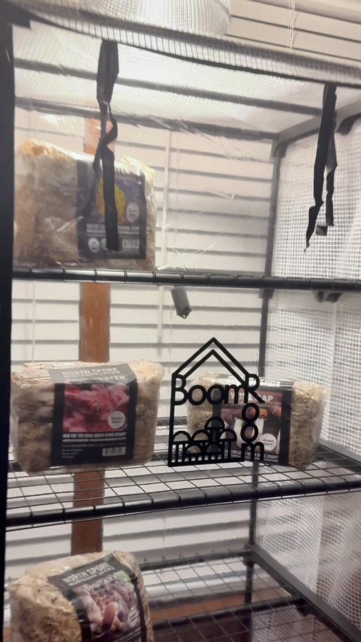 Instagram post by @greenhorngrove for North Spore. Caption reads: Two complaints I hear a lot are, I don’t have....