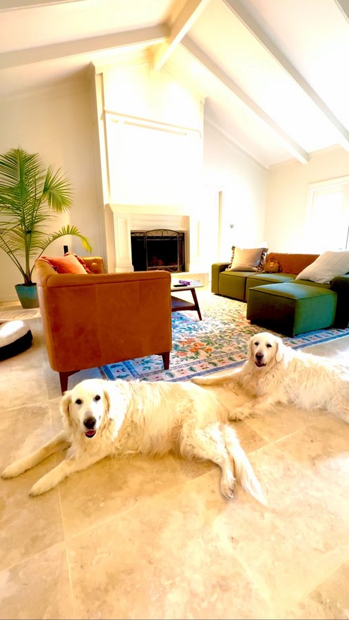 Instagram post by @spatravelgal for Burrow. Caption reads: Just unboxed the best gift—my new Burrow Mambo....