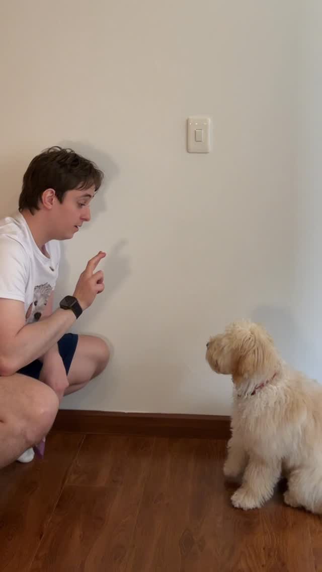 Instagram post by @martinlondonob for Alpina. Caption reads: Nos están ganando, Buñuelo, porfa haz algo🫠....