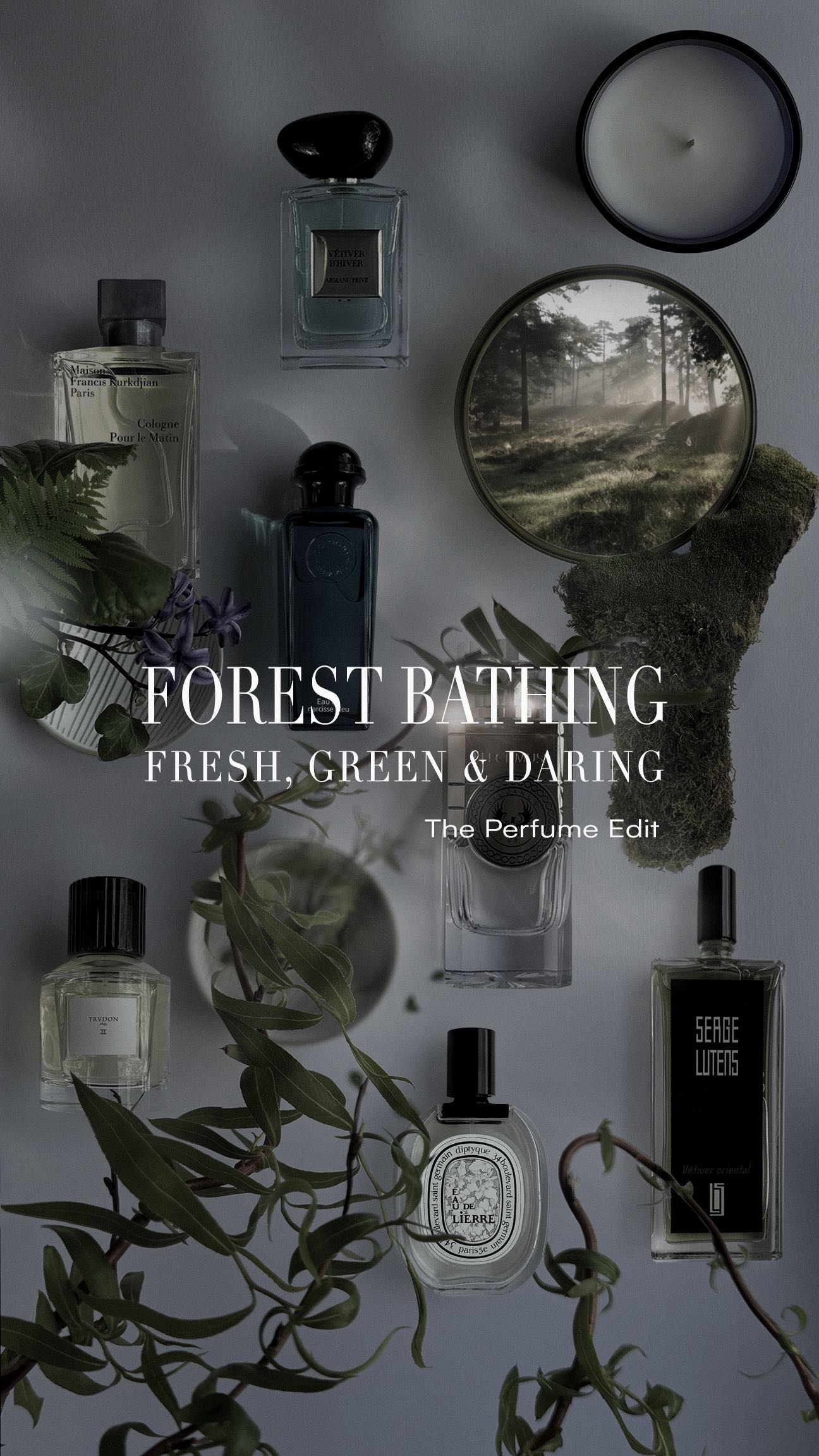 Instagram post by @christianebehmann for Electimuss. Caption reads: “And into the forest I go, to lose my mind and....