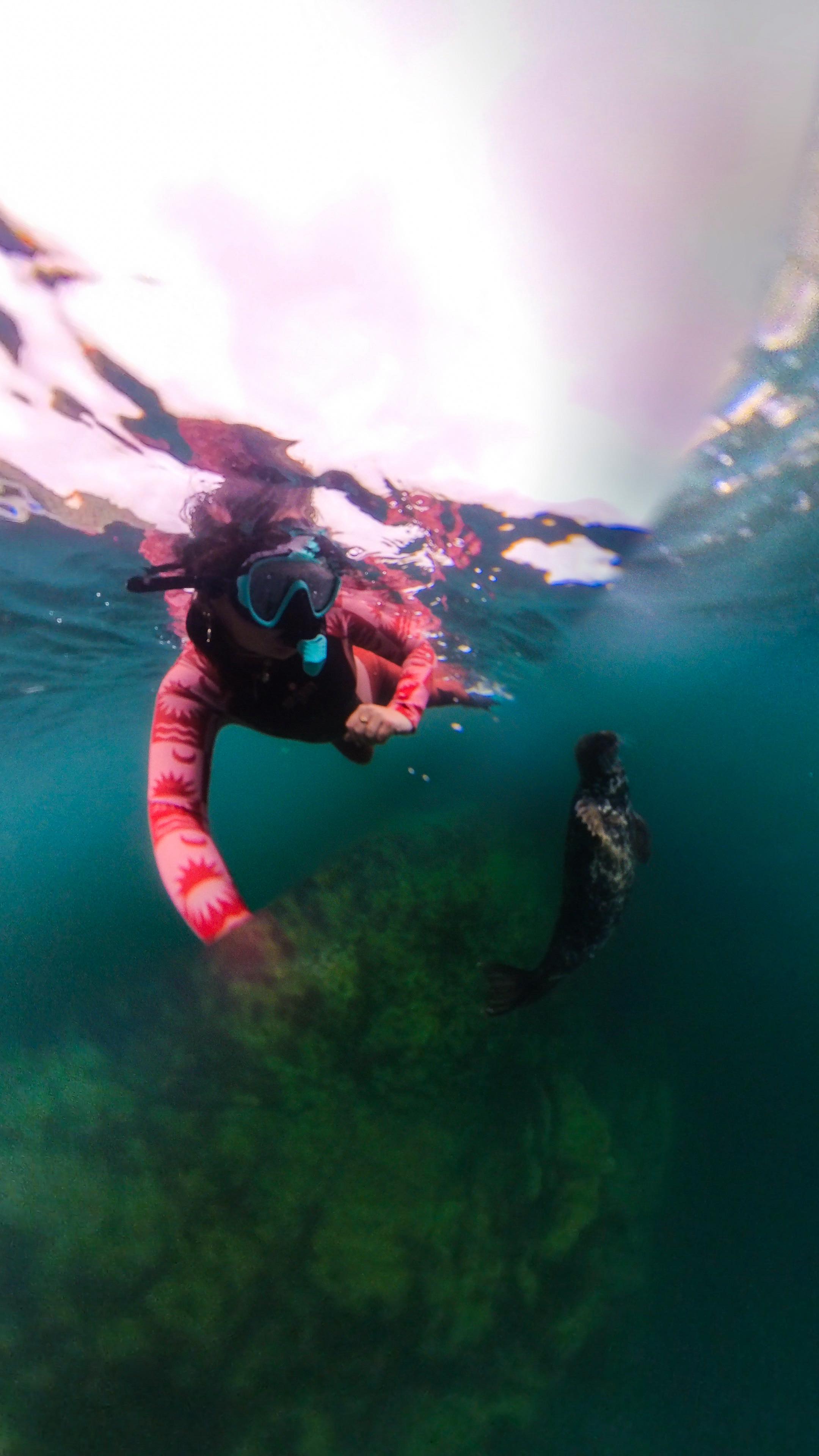 Instagram post by @lauriealyceadventures for Saltrock. Caption reads: I think I have a new friend! 🦭 

Last year I....