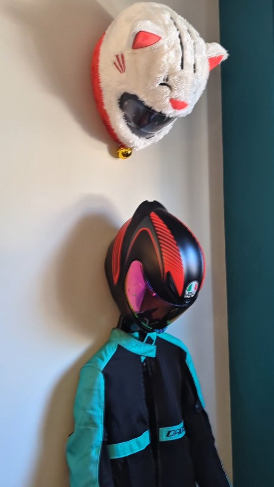 Instagram post by @mmadzoomies for Dainese. Caption reads: My helmets are wall decor now :) 

Helmet hanger....