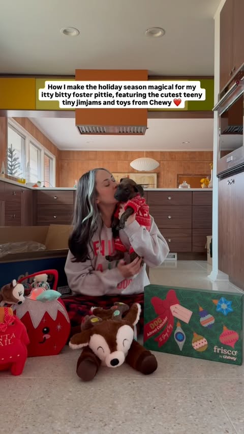 Instagram post by @wethreepitties for Chewy. Caption reads: ’Tis the season to spoil my foster puppy ❤️....