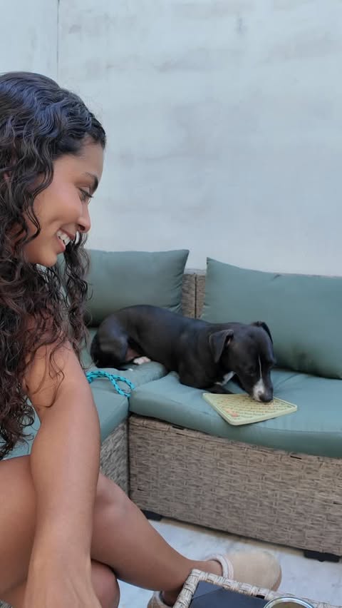 Instagram post by @themobtrio for Chewy. Caption reads: The way she lays so cozy at the end 😭❤️ @chewy....