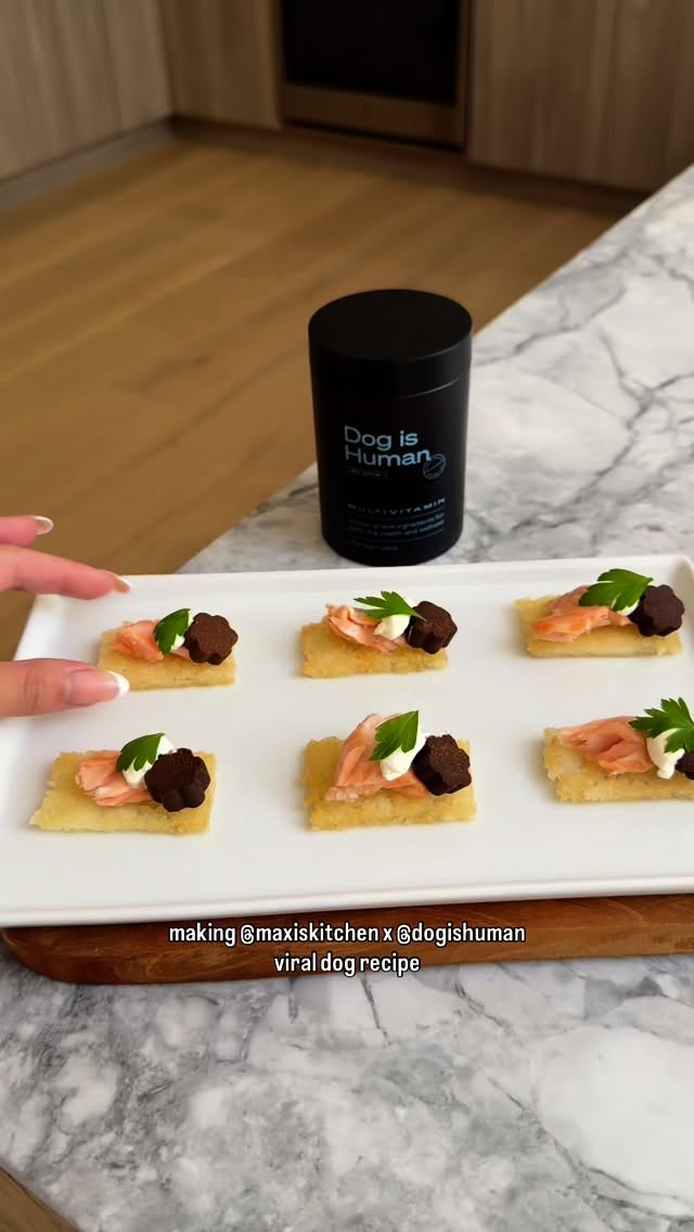 Instagram post by @winstonthefrenchiee_ for Dog is Human. Caption reads: [...] we’re teaming up with @dogishuman.