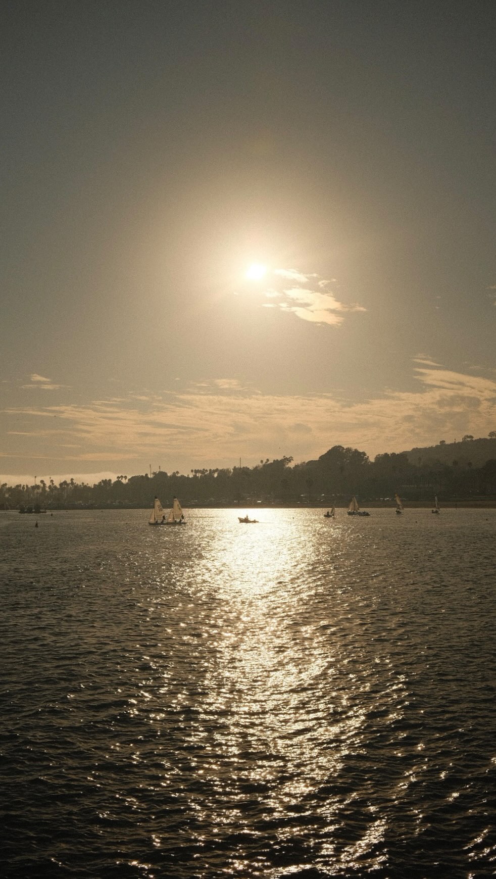 Instagram post by @tonytran for Toppik. Caption reads: #ToppikPartner @toppik’s hair building fibers are....