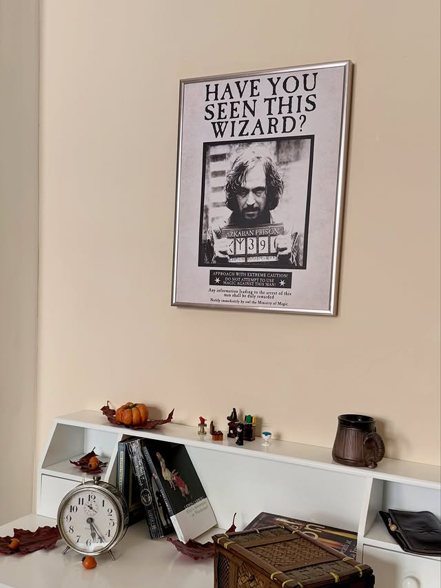 Instagram post by @ladyessegici for Poster Store. Caption reads: Harry potter collection @posterstore Harry Potter™....