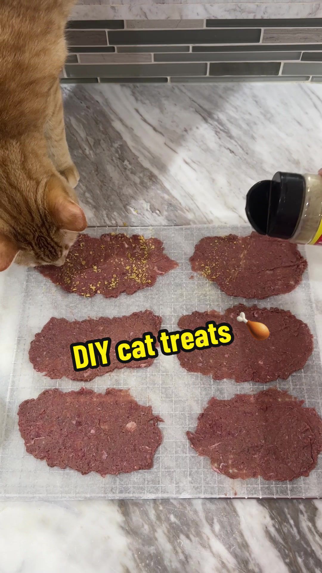 TikTok post by @penguinpepperpia for Viva Raw. Caption reads: [...] #asmr #diypettreats #pettreats @Viva Raw.