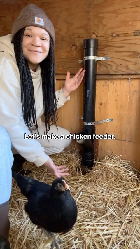 Instagram post by @chickenchaserbri for Grubbly Farms. Caption reads: [...] for chickens. If you want to try Grubbly....