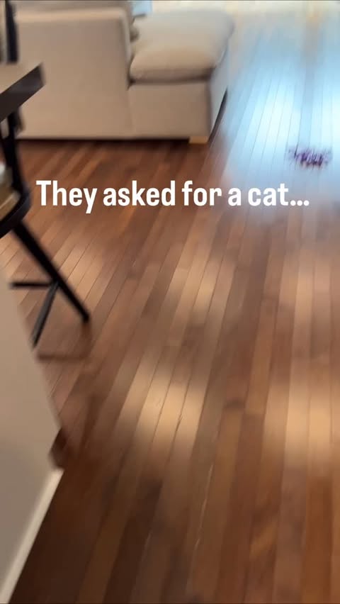 Instagram post by @sidryetreats for All About Vibe. Caption reads: [...] feeding. No litter box. Just....