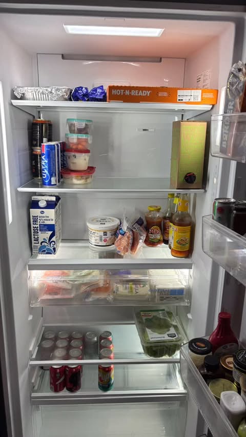 Instagram post by @testerweezy for The Insiders DACH. Caption reads: The Frigidaire Single Door Refrigerator....