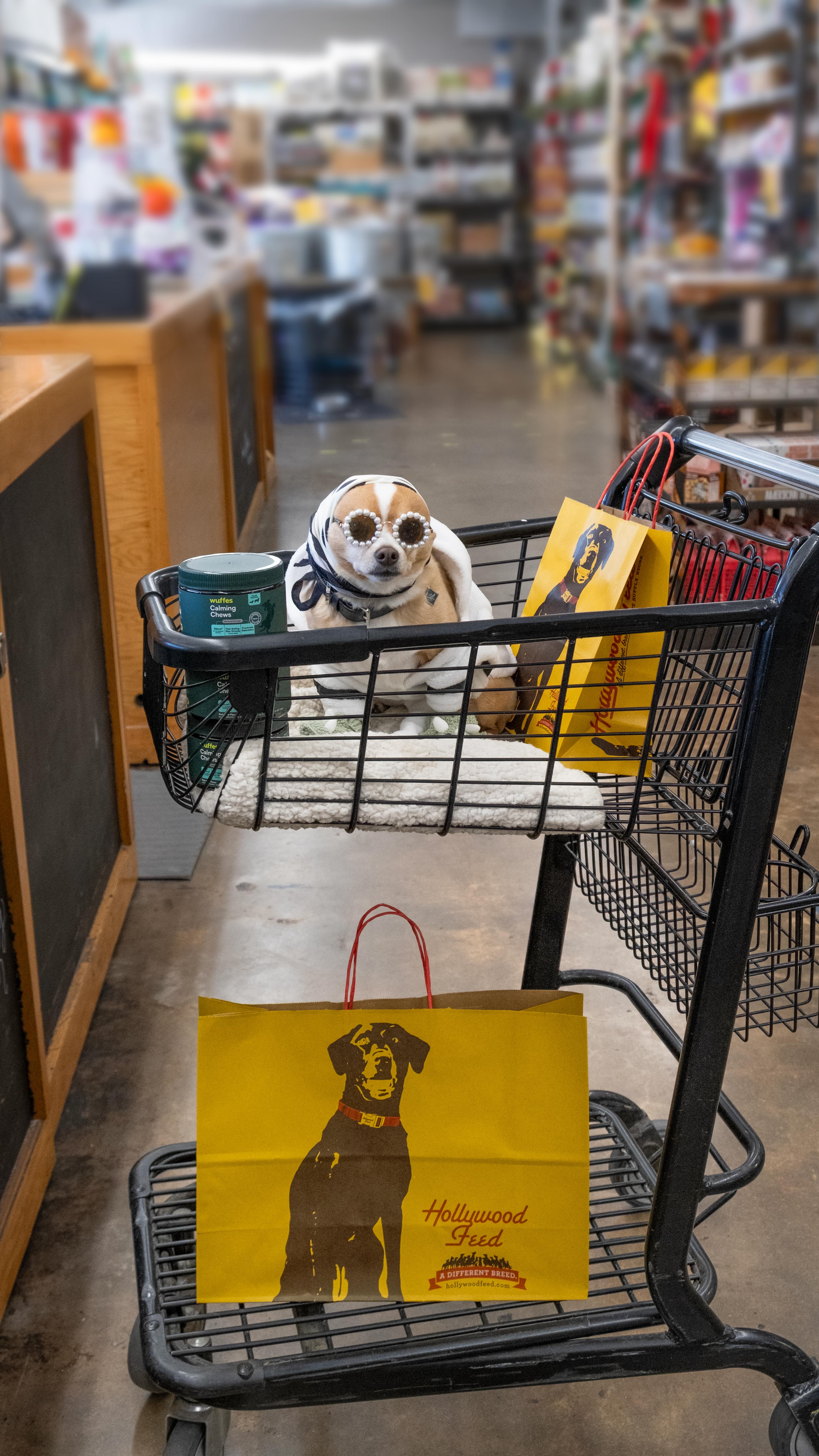 Instagram post by @tigrrrblaze for Wuffes. Caption reads: [...] but your dog doesn’t have to be. 💅🏽....