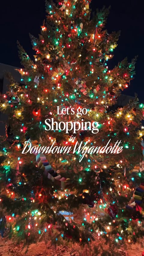 Instagram post by an influencer for Downtown Wyandotte. Caption reads: [...] 🎁🛒🛍️ Did you know @downtownwyandotte is....