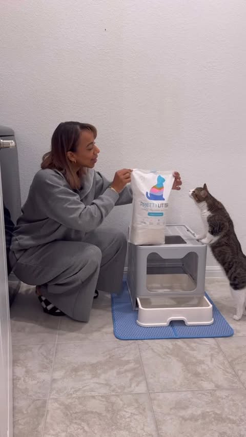 Instagram post by @dinaskouzina for PrettyLitter. Caption reads: Our morning just got prettier with @prettylitter....