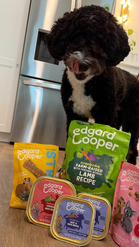 Instagram post by @corina_907 for PetSmart. Caption reads: Doodle owners tap in! 🙋🏽‍♀️ #ad I know you....