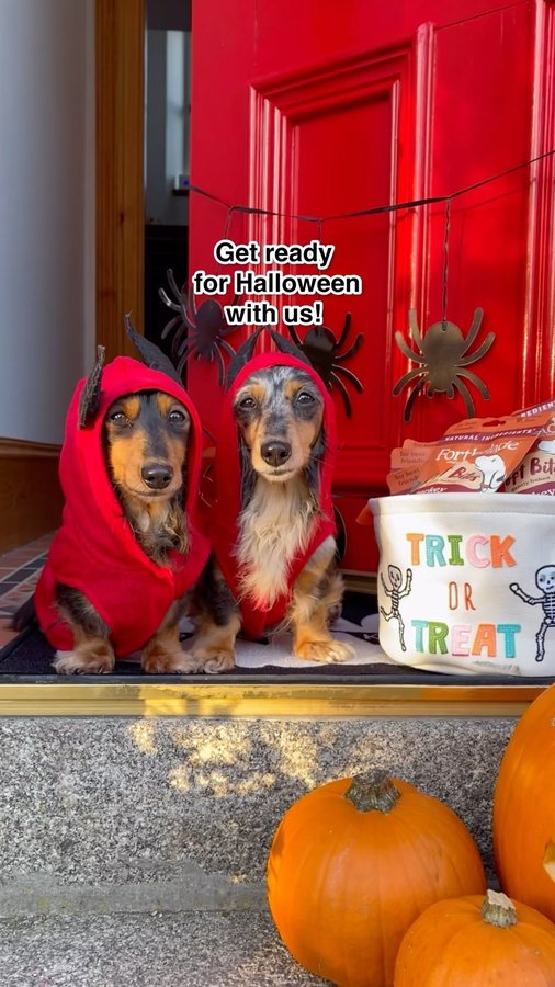 Instagram post by @digitdax for Forthglade. Caption reads: We are ready! Who’s coming? ✋🏻🎃 There are no....