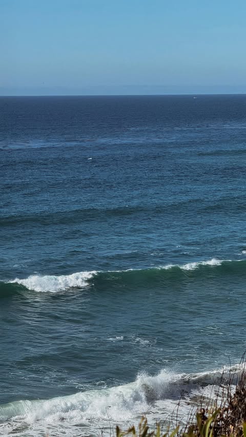 Instagram post by @avocado_bella for COOLA. Caption reads: @coola’s new hand cream with SPF, lightweight,....