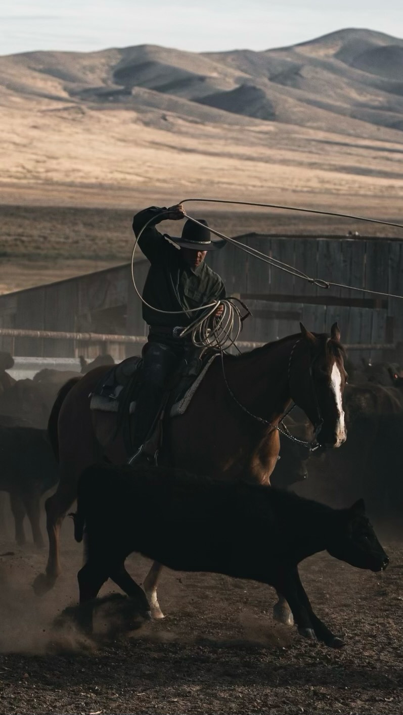 Instagram post by @lukedyleski for Boot Barn. Caption reads: The world needs more cowboys..