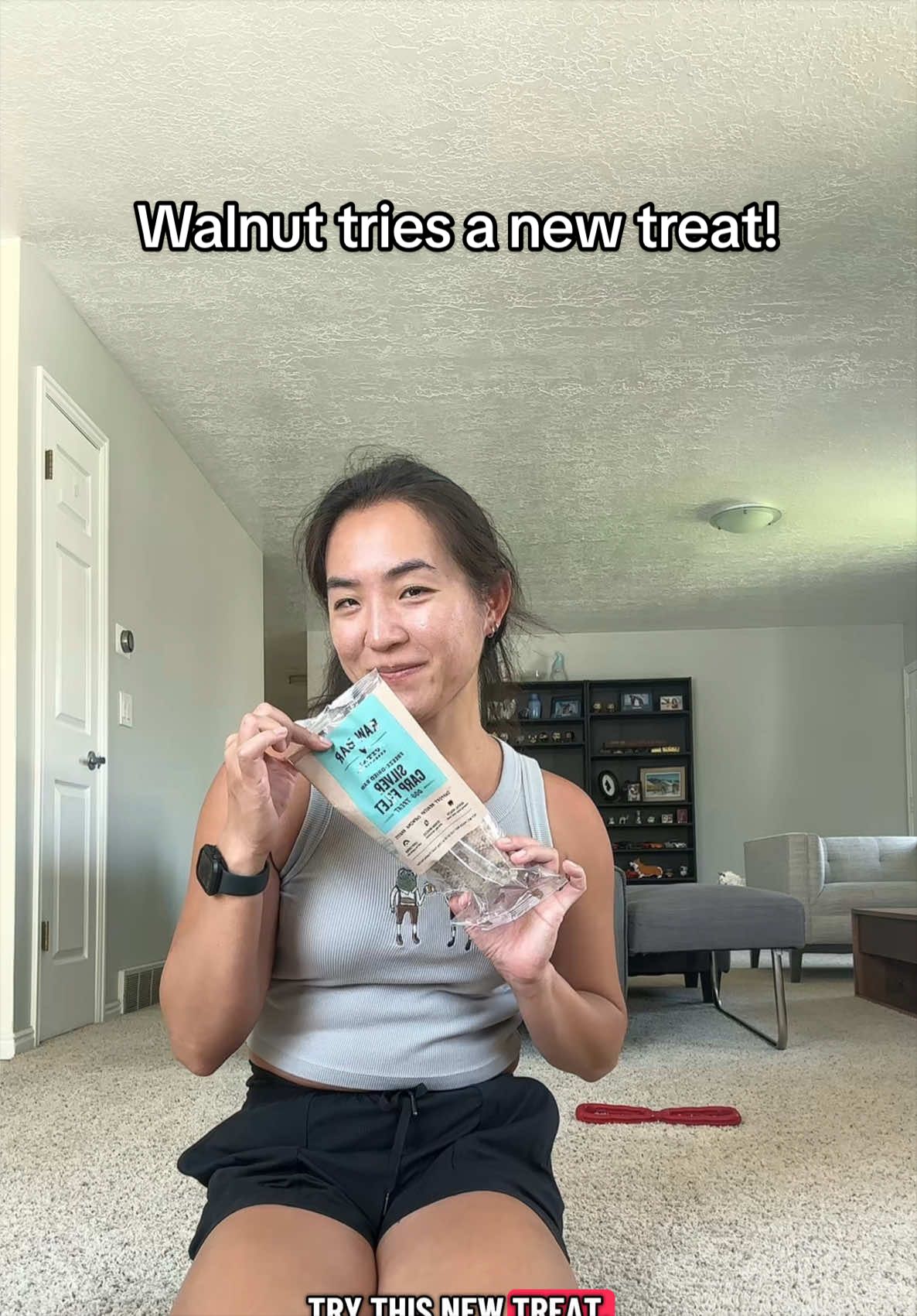 TikTok post by @walnutthefluffycorgi for Vital Essentials. Caption reads: Thanks to @Vital Essentials for sending us the....