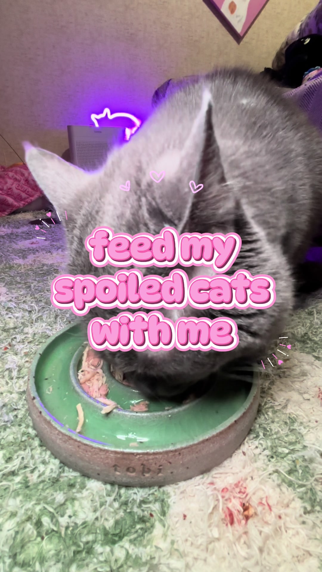 TikTok post by @haileyandthekitties for Vital Essentials. Caption reads: [...] Ceramics slow feeders 🩷💙💚 @Vital....