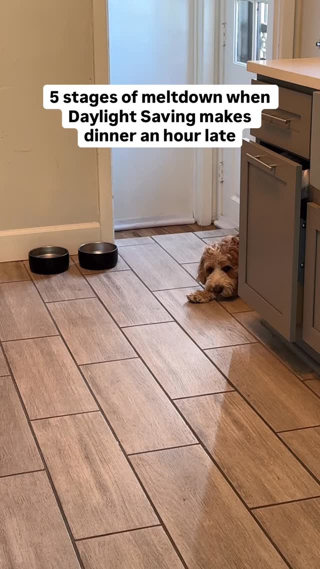 Instagram post by @that.dood.knox for Open Farm Pet. Caption reads: Phase 3 WRECKED me 😅

My dog is so thrown off my....